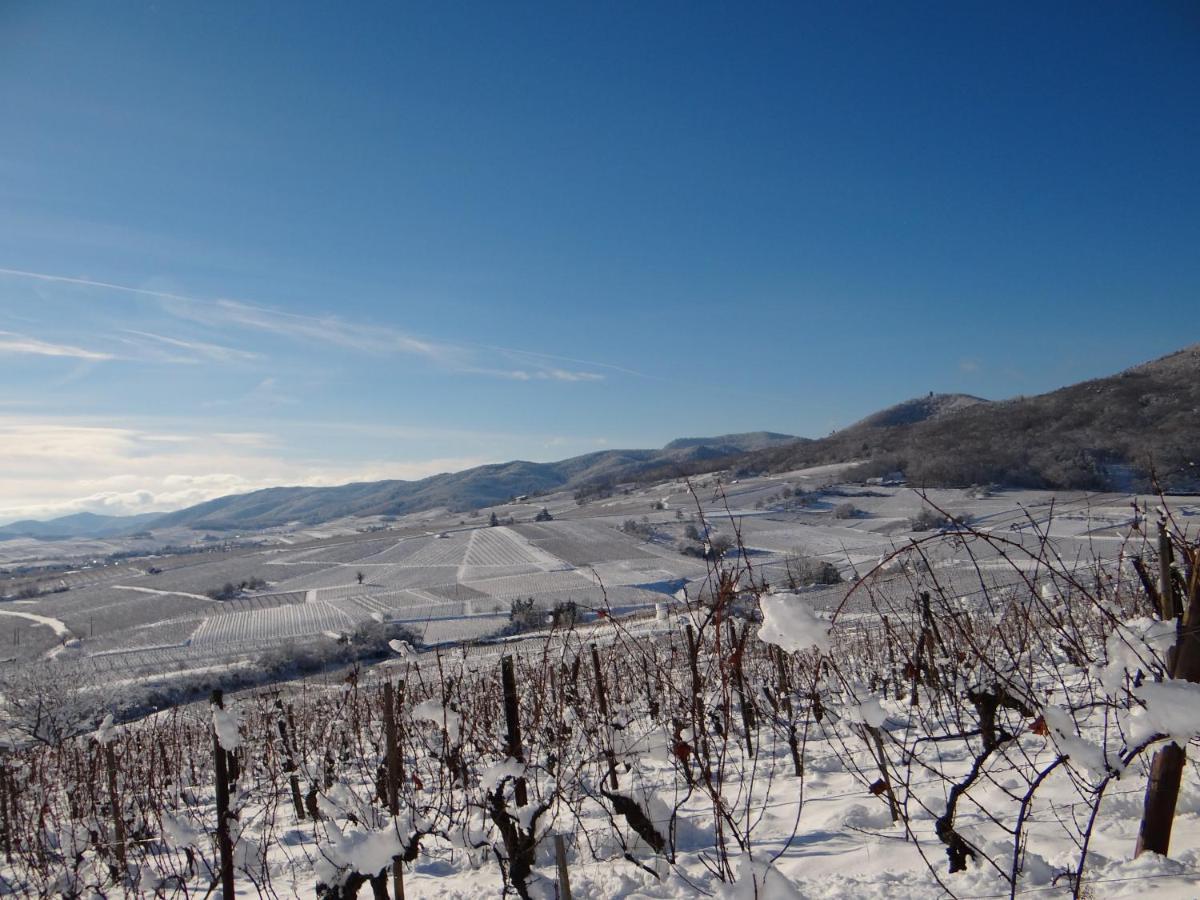 Apartmán Au Coeur Des Vignes Bergheim Exteriér fotografie