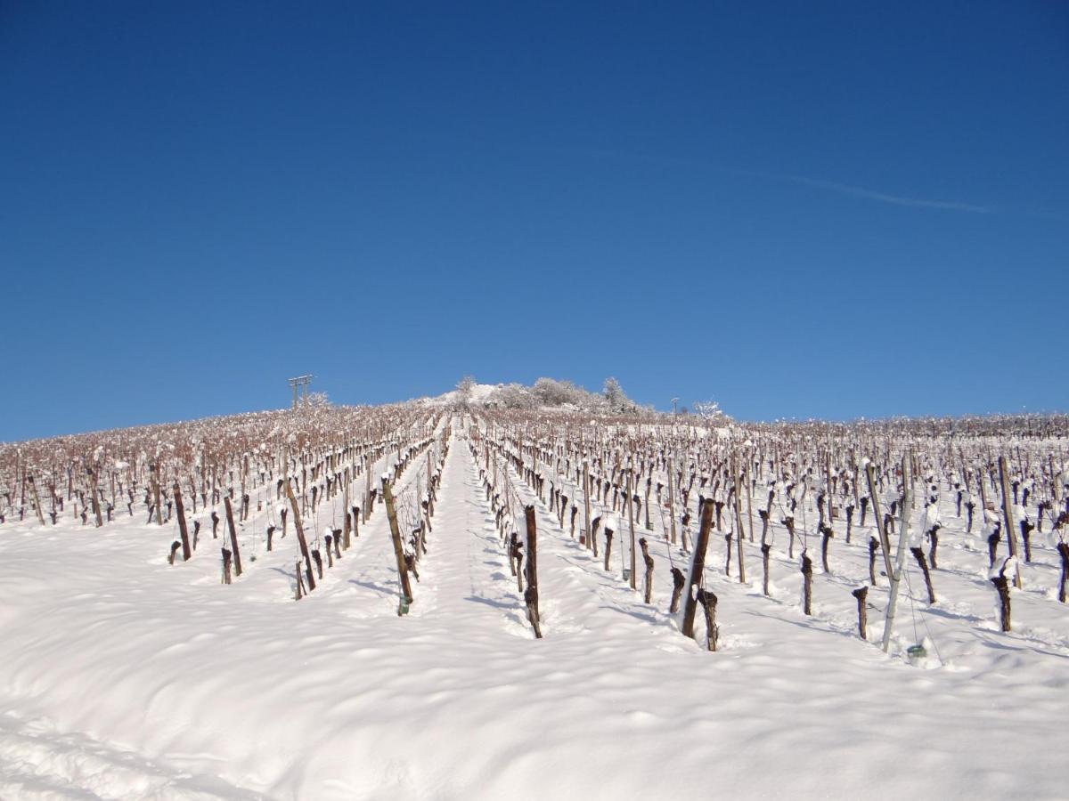 Apartmán Au Coeur Des Vignes Bergheim Exteriér fotografie