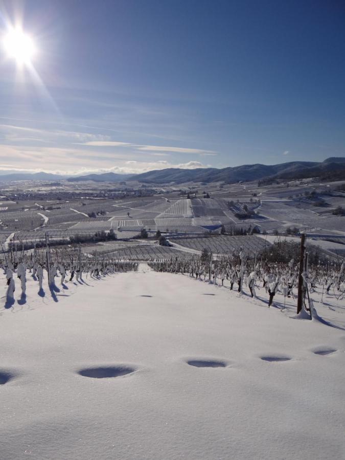 Apartmán Au Coeur Des Vignes Bergheim Exteriér fotografie