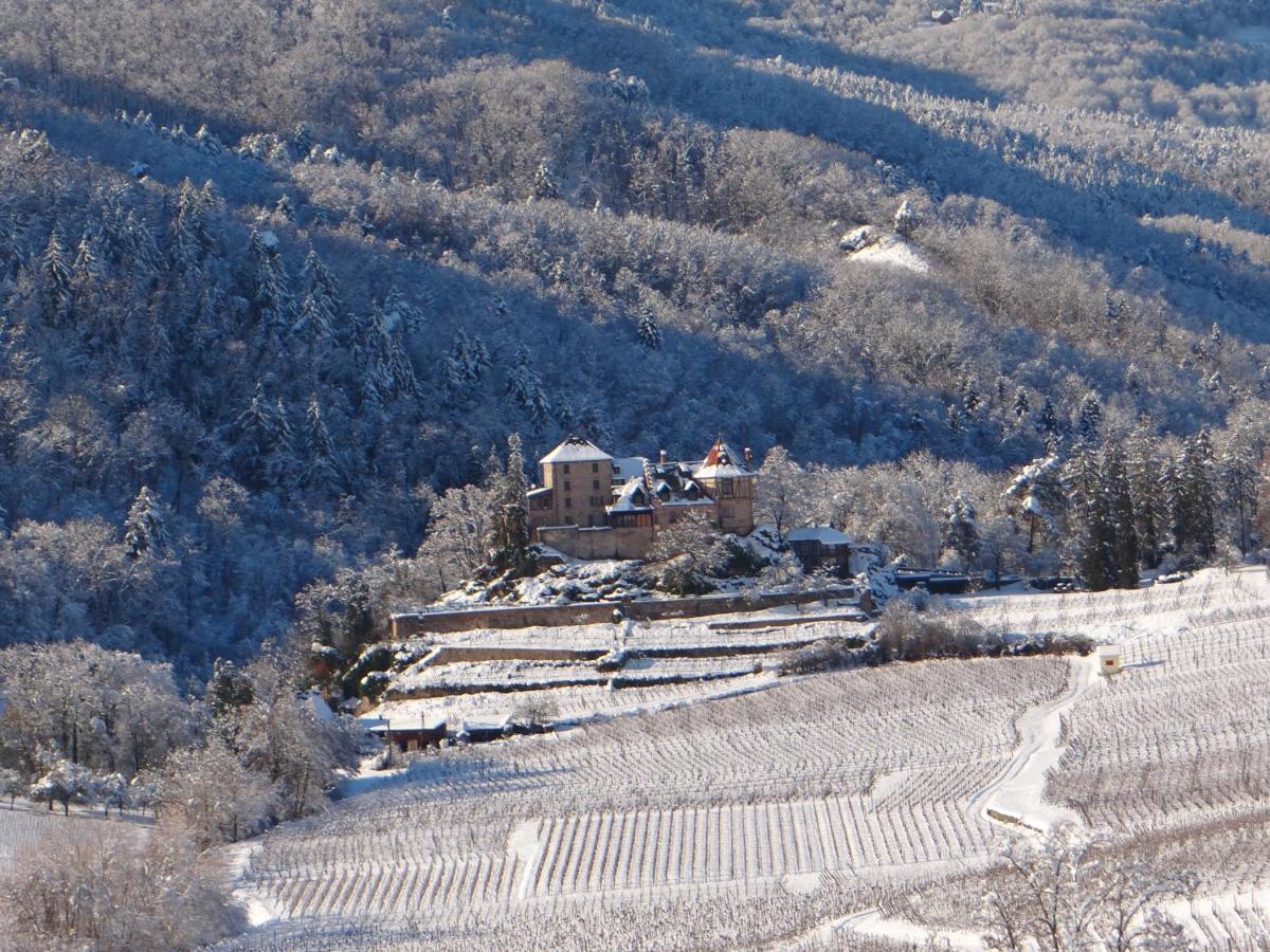 Apartmán Au Coeur Des Vignes Bergheim Exteriér fotografie