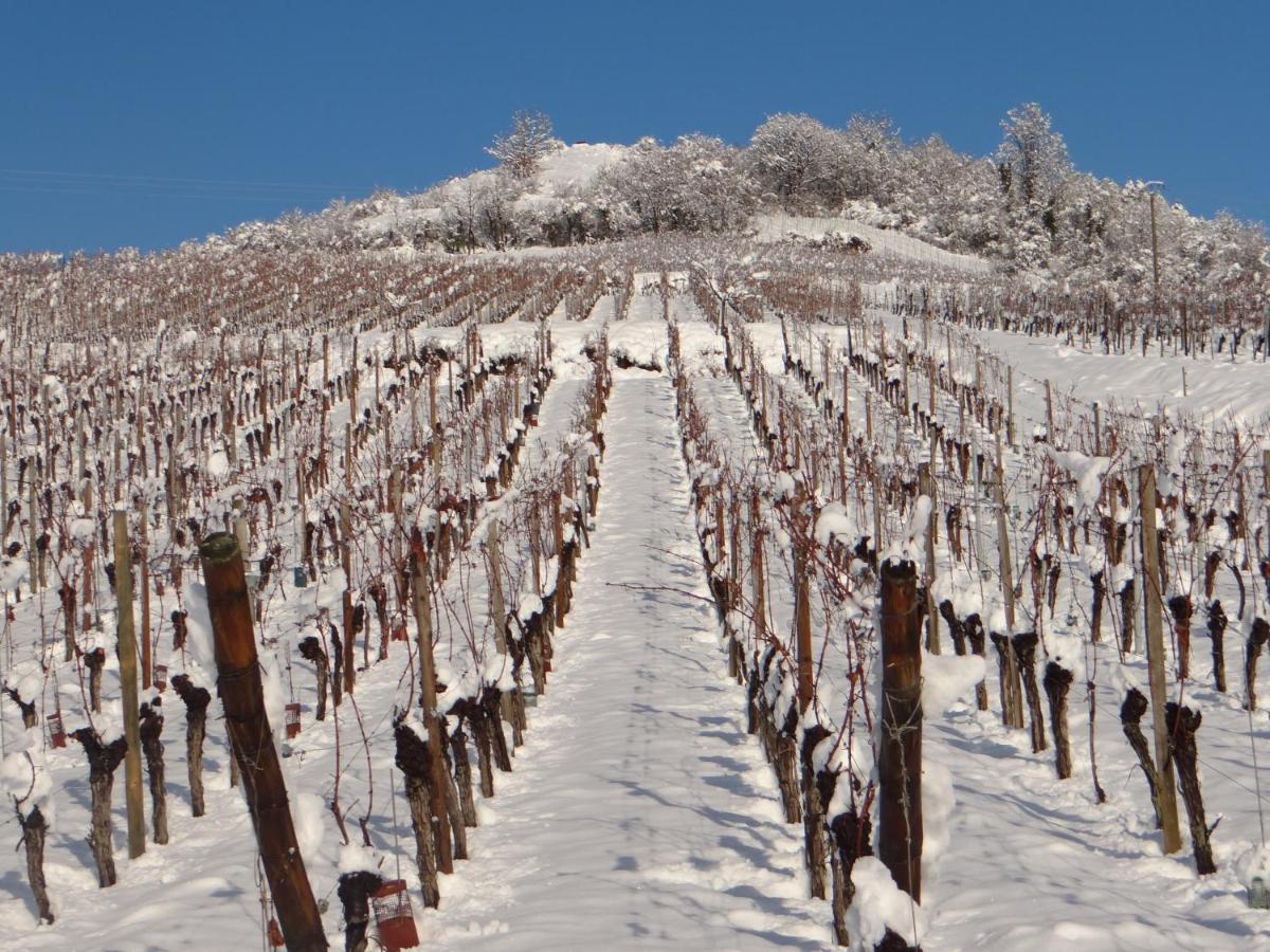 Apartmán Au Coeur Des Vignes Bergheim Exteriér fotografie