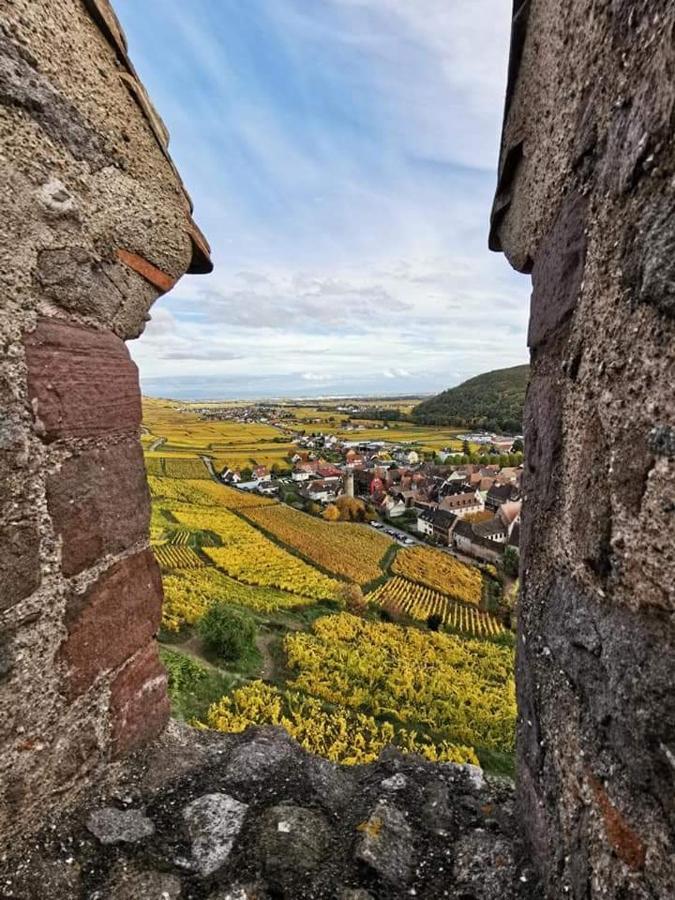 Apartmán Au Coeur Des Vignes Bergheim Exteriér fotografie